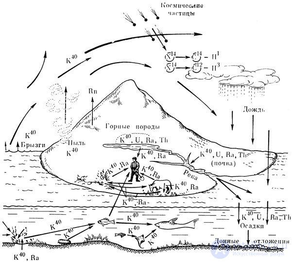 Radioactivity and Radiation: Natural, Ground, Cosmic, and Man-Made Sources, Measurement, Effects, and Protection