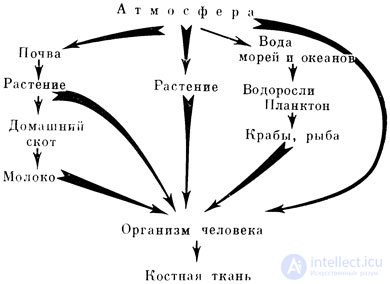 Radioactivity and Radiation: Natural, Ground, Cosmic, and Man-Made Sources, Measurement, Effects, and Protection