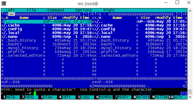 Garbled characters (mojibake) in Midnight Commander (mc)