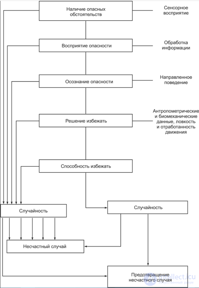 The Human Factor in Occupational Safety