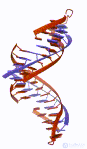 Alternative Biochemistry and CHNOPS