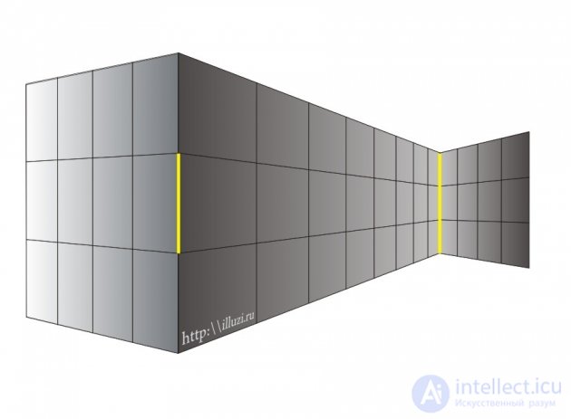   Topic 2. Illusions of perception 