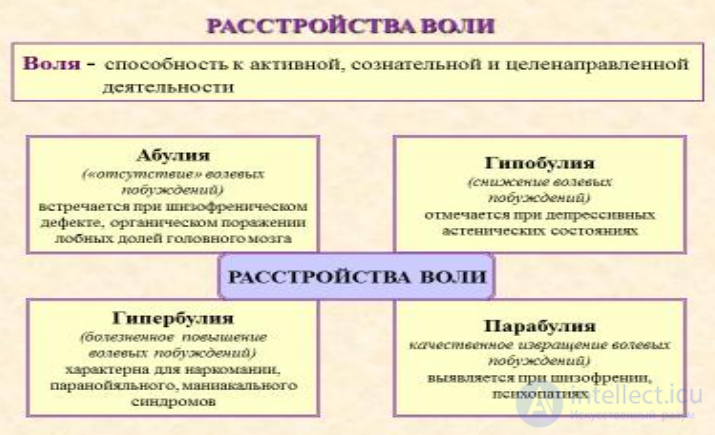 Lecture 4. Psychopathology of Memory, Attention, Will, and the Affective Sphere