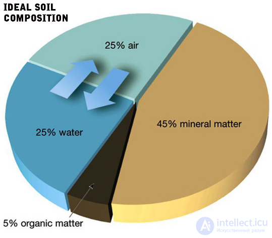 Composition and Properties of the Mineral and Organic Parts of Soil