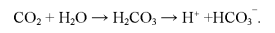 Composition and Properties of the Mineral and Organic Parts of Soil