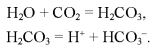 Soil Absorption Capacity and Properties