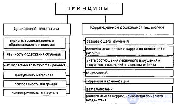 Principles of Organising Correctional and Pedagogical Activity