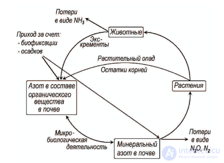 Cycling and Balance of Nutrients: Potassium and Nitrogen