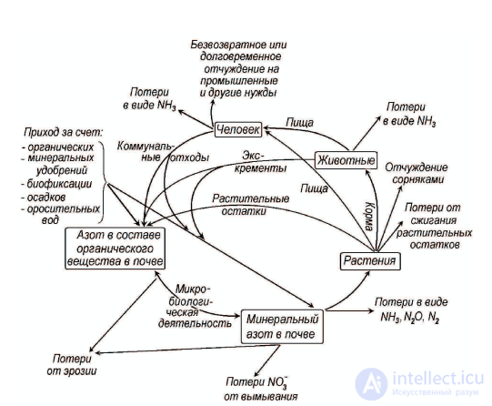 Cycling and Balance of Nutrients: Potassium and Nitrogen