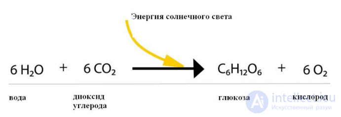 Air (Carbon) Nutrition of Plants (Photosynthesis)