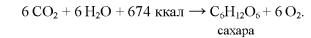 Air (Carbon) Nutrition of Plants (Photosynthesis)