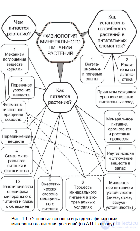 Mineral (Root) Nutrition of Plants
