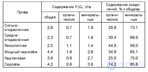 Macronutrient: Phosphorus — Its Role in Plant Nutrition