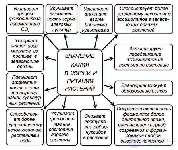 Macronutrient: Potassium — Its Role in Plant Nutrition