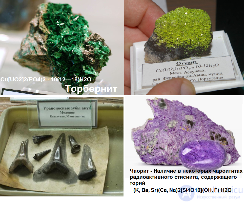 Radiogeologist: Advantages and Disadvantages of the Profession