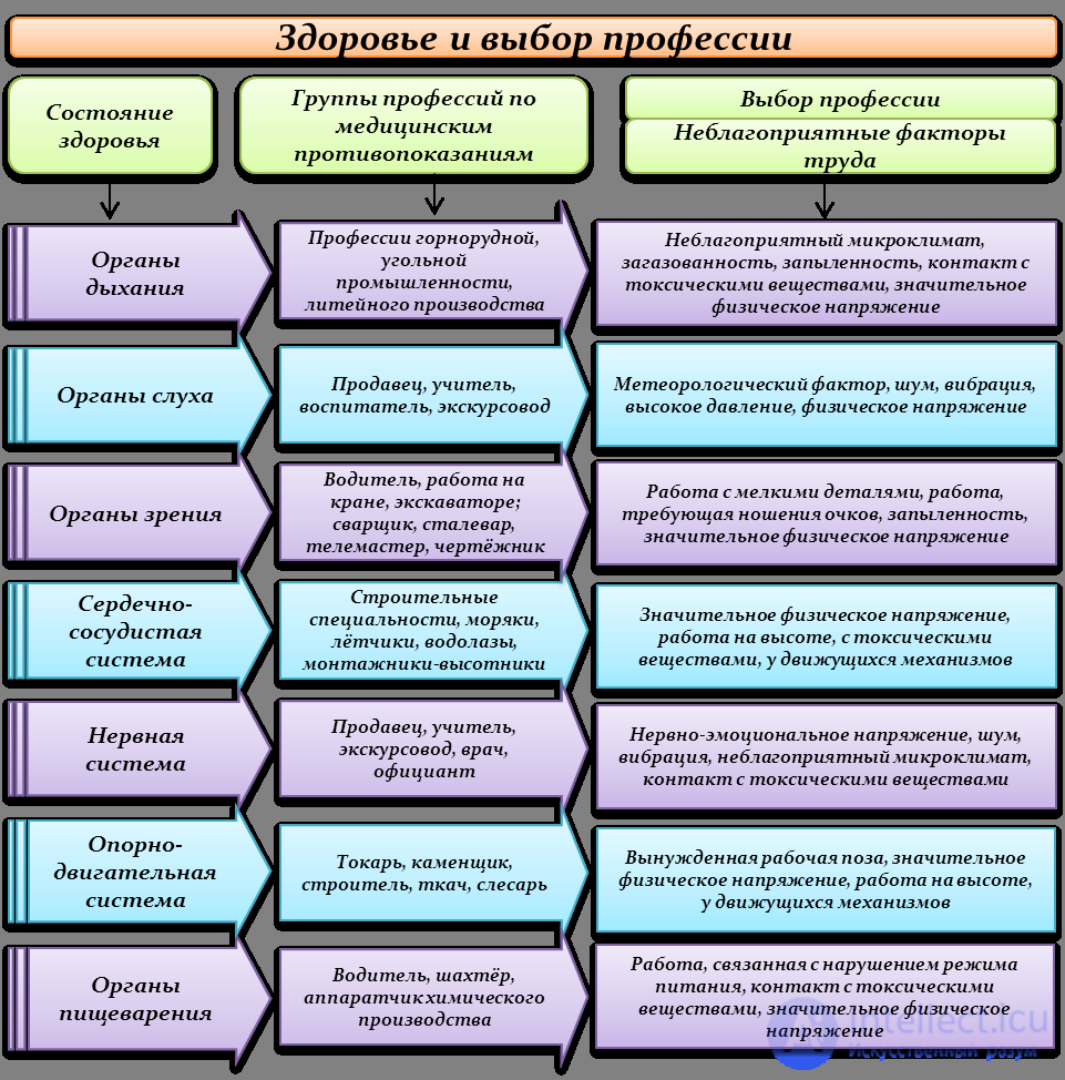4. Students vocational orientation, E. A. Klimovs Differential Diagnostic Questionnaire, health and professions