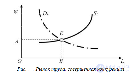 7. The labour market: supply and demand on the labour market, the modern labour market