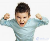 10.6. Psychological Support Groups for a Grieving Child, with Practical Advice