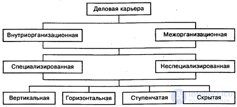 Professional career and its types, planning and stages, the career chart, professional development of a graduate