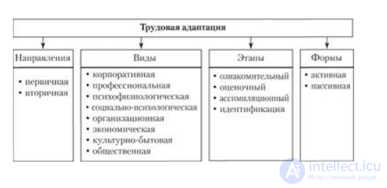 Workplace adaptation in a new team after being hired: types, methods, assessment