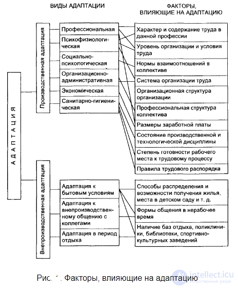 Workplace adaptation in a new team after being hired: types, methods, assessment