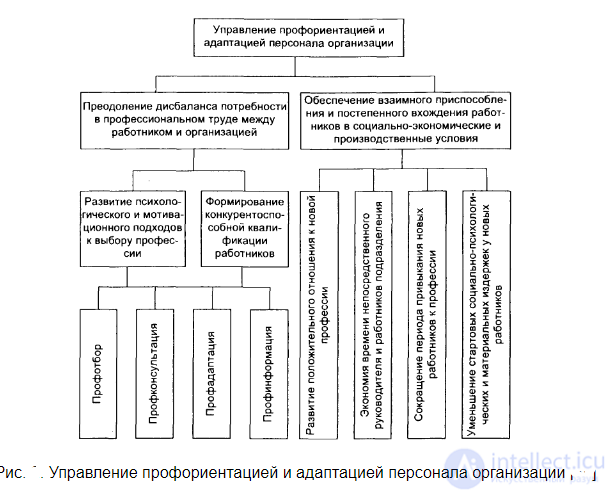 Workplace adaptation in a new team after being hired: types, methods, assessment