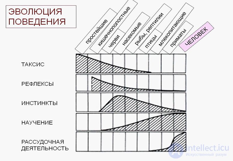 Tests with Answers and Diagrams on General Psychology