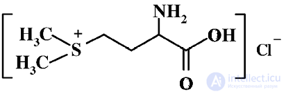 Vitamin-Like Substances: Properties and Functions