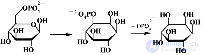 Vitamin-Like Substances: Properties and Functions