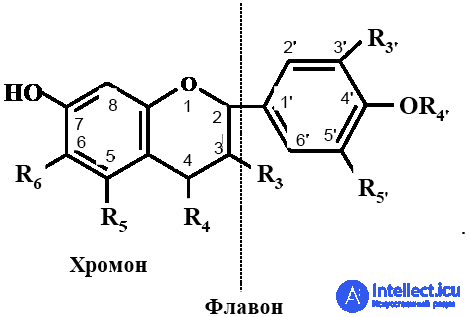 Vitamin-Like Substances: Properties and Functions