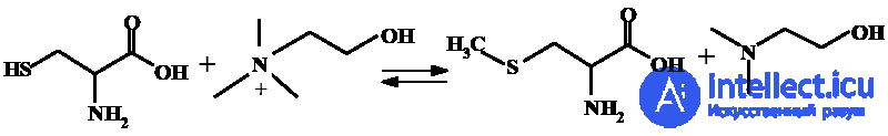 Vitamin-Like Substances: Properties and Functions