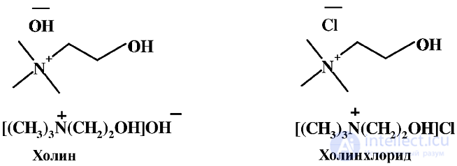 Vitamin-Like Substances: Properties and Functions