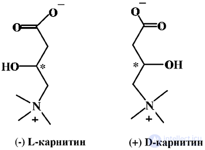 Vitamin-Like Substances: Properties and Functions