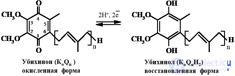 Vitamin-Like Substances: Properties and Functions