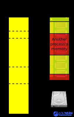 The Computer Program: Its Characteristics and Ways to Describe It