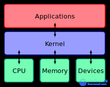 The Computer Program: Its Characteristics and Ways to Describe It