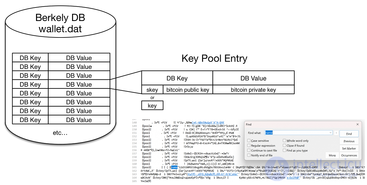 Bitcoin wallet.dat: File Structure and Ways to Store Wallets