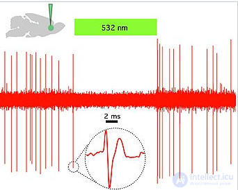 Optogenetics