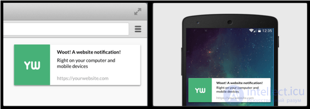 The service worker lifecycle: using the cache and receiving push notifications