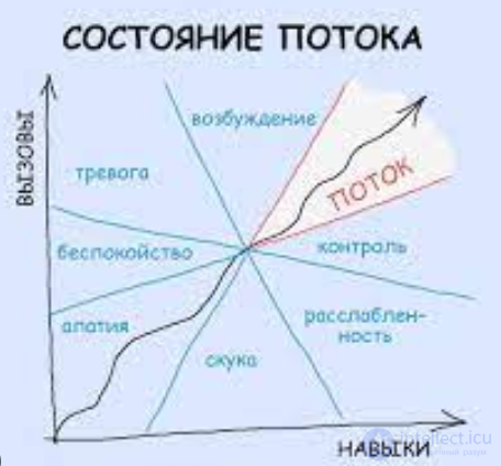 Flow State in Psychology