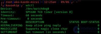 Watchdog Timer