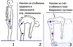 Pose types, examples, application