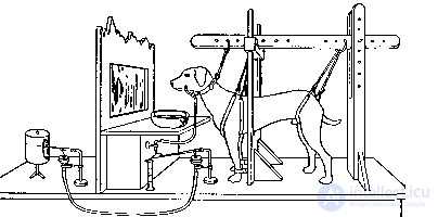 Classical Conditioning