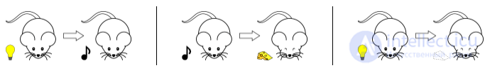 Classical Conditioning