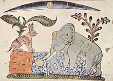 Anthropomorphism in Religion, Television, Games, and Mythology: Symbolism and Functions