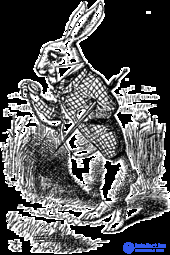 Anthropomorphism in Religion, Television, Games, and Mythology: Symbolism and Functions
