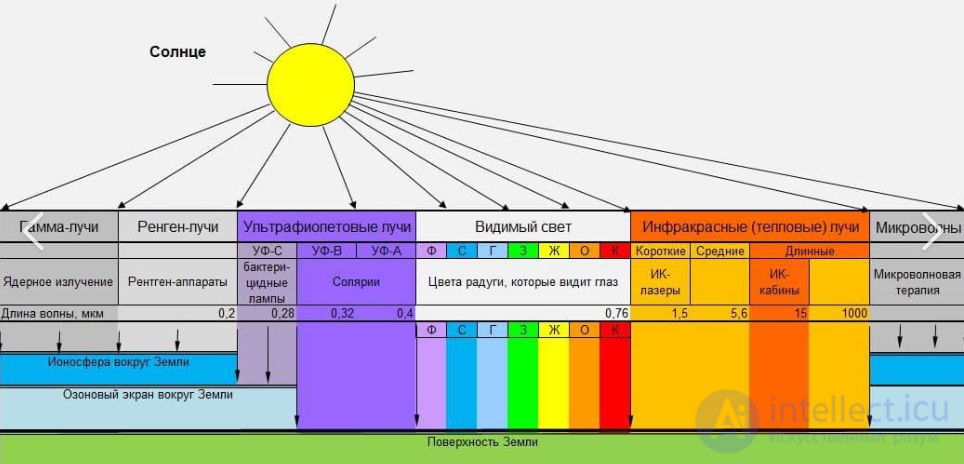 18. Internal structure of the Sun.