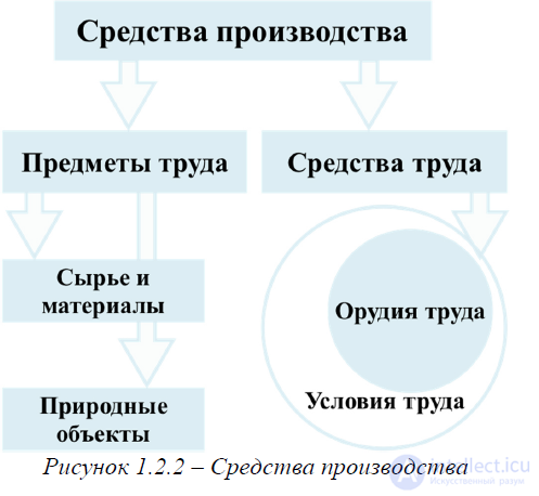 Basic Concepts of Political Economy, Economic Laws and Categories