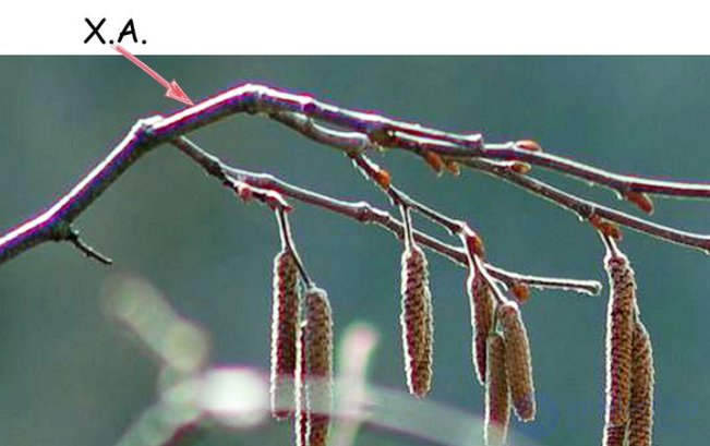 Post-rendering Post-processing — The Final Stage of Visual Image Processing