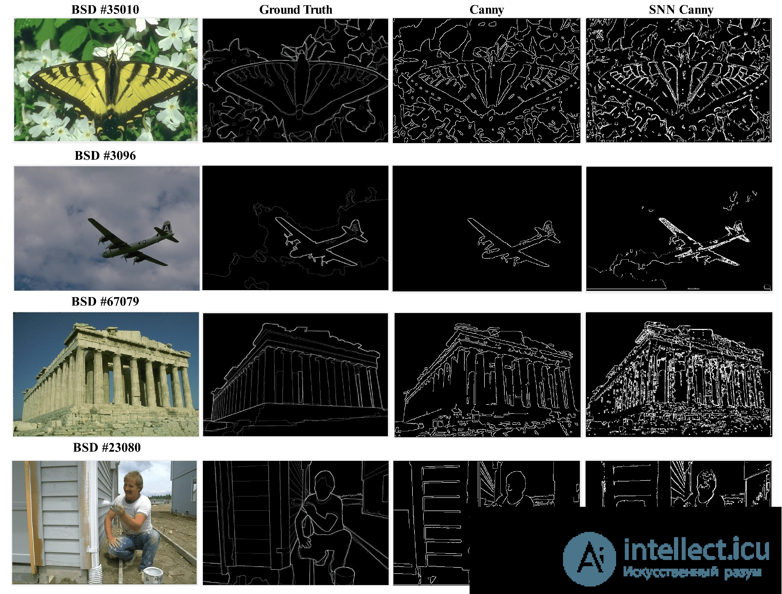 Viewing and Converting Graphics Files